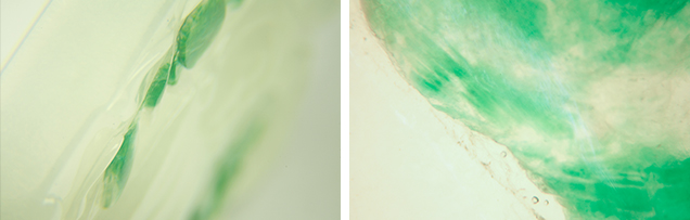 Jadeite photomicrographs.