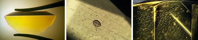 Photomicrographs of doublets