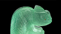 Gerd Dreher chameleon carving