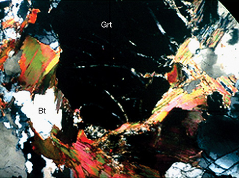 Biotite and garnet in corundum sample