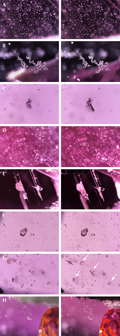 Inclusion scenes in pink sapphire before/after low-temperature heat treatment