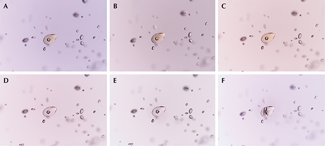 Reaction of monazite crystal in pink sapphire before/after low-temperature heating