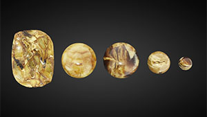 Figure 1. Left to right: Reconstructed root amber (assembled from small fragments and from powders), natural Burmese root amber, and plastic imitation. Photos by Yilei Feng.