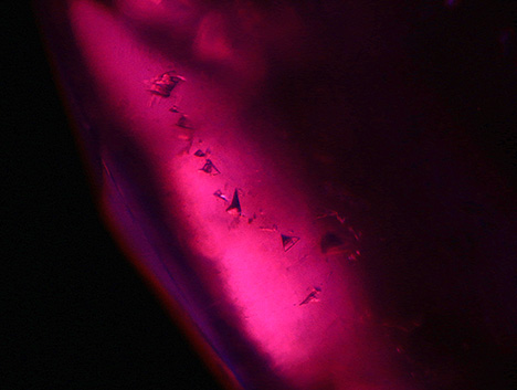 Figure 3. A series of irregular calcite crystals in the ruby from Mogok. Photomicrograph by Huixin Zhao; field of view 1.84 mm.