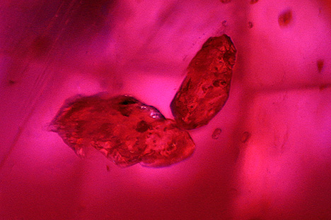 Figure 4. These two transparent brownish hellandite crystals found in a Mogok ruby possibly represent a new ruby inclusion. Photomicrograph by Huixin Zhao; field of view 1.70 mm. 