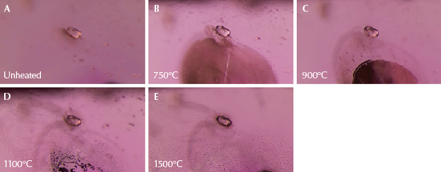 Figure 10. A: A transparent rounded zircon crystal in sample 4. B: A large, shiny fissure has developed. C: The fissure has begun to heal at the edges, creating a “fingerprint” pattern at the top and leaving a glassy area at the bottom. D: The fissure has further healed, producing many fine channels, while the glassy area has largely disappeared; the texture of the surface of the zircon crystal itself has also altered and become less smooth. E: The fingerprint has expanded, and many of the elongated channels have “necked down” to form smaller bubble-like features. Photomicrographs by E. Billie Hughes; field of view 1.5 mm.