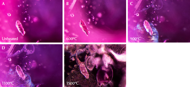 Figure 11. A: An elongated mica crystal surrounded by several smaller crystals in sample 8. B: There is little noticeable change except at the top left, where a small fissure has formed. C: The scene shows obvious signs of heat alteration. In addition to the fissures seen earlier, glassy discoids appear around crystals in the background, and a shiny fissure is conspicuous around the biotite crystal in the foreground. D: Some fissures have begun to heal; the glassy fissure around the biotite crystal has developed elongated channels, and the partially healed edges of the glassy discoid at the top of the frame have started to neck down and become wider. E: The scene has changed dramatically; glassy discoids and partially healed fissures with a melted appearance are visible across the field of view, and the biotite crystal has developed an immobile gas bubble in its center. Images A and B were captured with darkfield illumination; diffused fiber-optic illumination has been added in C–E to reveal the fissures more clearly. Photomicrographs by E. Billie Hughes; field of view 1.5 mm.