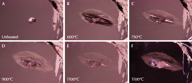 Figure 12. A: A calcite crystal from sample 40, shown in its untreated state. B: A glassy fissure has developed around the crystal. C: The edges of the fissure have begun to heal and assume a cloudy appearance. D: Further healing in the fissure. E: Almost all of the glassy areas have disappeared as the fissure has healed. Meanwhile, the calcite crystal has become more opaque. F: Darkfield illumination shows detailed channels in the fingerprint around the calcite, which is becoming whiter and more opaque. Photomicrographs by E. Billie Hughes; field of view 2.2 mm.