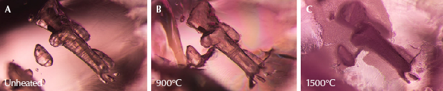 Figure 13. A: These mica crystals in sample 40 show a series of striations. B: Fissures have developed around the mica crystals, and the striations have become much less prominent. C: Significant changes are observed, with the entire area on and around the crystals assuming a frosty white appearance. Photomicrographs by E. Billie Hughes; field of view 3 mm.