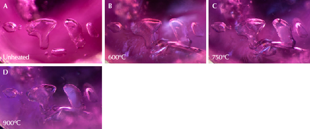 Figure 14. A: A group of transparent calcite crystals in sample 8. B: A large glassy fissure has formed around the cluster. C: The crystal second from the right has changed in texture and become slightly opaque; the one on the far right has also developed a fissure that has begun to heal. D: Note the significant changes to the crystal second from the right, which has taken on a whitish appearance and become opaque. Photomicrographs by E. Billie Hughes; field of view 2 mm.
