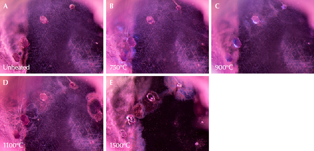 Figure 15. A: In sample 25, the three hexagonal crystals on the left are mica, while the crystal at top right is garnet. The scene also contains nests of undissolved rutile silk in intersecting needles. B: Shiny fissures appear around three of the four crystals. The crystal third from the left does not display a fissure, despite being mica like the first two crystals. The garnet does display a fissure, however. C: All four crystals have altered, and the fissures have begun to heal at the edges. D: More changes can be noted as existing fissures have expanded and healed further. New fingerprints have developed to the right of the garnet crystal. Through four rounds of heat, the rutile silk in the background remains unaltered. E: Fissures now show significant alteration, with cloudy areas and drippy channels. The three mica crystals on the left have become more transparent and contain several immobile gas bubbles. In the background, the rutile silk needles have altered significantly, partially dissolving into shorter, broken needles and dotted particles. The previously “silky” area appears more transparent. Photomicrographs by E. Billie Hughes; field of view 3 mm.