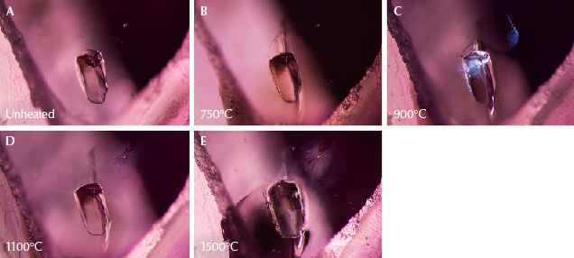 Figure 17. A: Sample 39 shows a spinel crystal in the center, with a small crystal to the top right. B: The large crystal has developed a glassy fissure. C: The smaller crystal also has a shiny fissure. Diffused fiber-optic illumination has been added to the transmitted light used in the other steps to better highlight the fissures. D: The fissures begin to heal, creating fingerprints around the crystals. E: The fissures have expanded and appear cloudier. The larger crystal’s surface has altered, while the smaller crystal displays a more rounded, bubble-like appearance. Photomicrographs by E. Billie Hughes; field of view 3 mm.