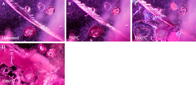 Figure 19. A: Sample 18 contains a variety of interesting inclusions. On either side of this fissure are two angular sulfide crystals set against a background of rutile silk needles. B: The sulfide crystals display subtle fissures at their edges, but the rest of the scene appears unaltered. C: Significant differences appear. Large, shiny fissures have developed, and opacity changes are visible, particularly in the lower sulfide crystal, which now appears whiter and cloudier. In the background, the rutile silk is still intact. D: Many fissures have appeared and begun to heal, partially obstructing the view. However, there are notable changes. The sulfide crystal at the top right has developed an immobile gas bubble. In the background, the rutile silk needles have dissolved. Photomicrographs by E. Billie Hughes; field of view 2 mm.