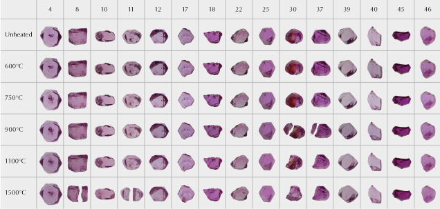 Figure 2. The 15 ruby samples from the experiments, before heat treatment and after each stage of heating. While the overall bodycolors did not show significant changes, there were changes to clarity as the inclusions altered. Sample 30 in particular showed a dramatic change in color due to the alteration of iron staining in a large fissure. Four samples (8, 11, 30, and 37) broke apart during heat treatment. We continued to heat the larger of the two pieces in subsequent rounds. Photos by Sora-at Manorotkul.