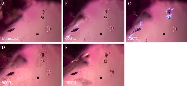 Figure 20. A: A variety of solid inclusions are present in sample 22. At left is a crystal containing diaspore, on the right are several transparent spinel crystals, and at the bottom right is a dark, rounded crystal of primary rutile. B: Changes are already visible, with a glassy fissure around the diaspore crystal on the left. Diffused fiber-optic illumination has been added to the transmitted light used for the other images in this set to accentuate the fissure. C: A fissure has also developed around the top of the spinel crystal. Again, diffused fiber-optic illumination has been added. D: The fissures that developed in previous stages have begun to heal and form fingerprints. E: These fissures heal further and melted-looking channels appear. Photomicrographs by E. Billie Hughes; field of view 2 mm.