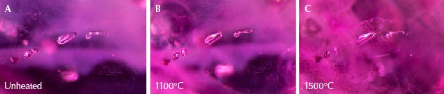 Figure 23. A: A cluster of feldspar crystals in sample 37 that show no alteration through several rounds of heating. B: The feldspar crystals are intact and appear unaffected by heat. However, discoid fissures appear in the background at the top left and bottom right. C: Many more fissures have developed, including some around the feldspar crystals in the center. Photomicrographs by E. Billie Hughes; field of view 1.7 mm.