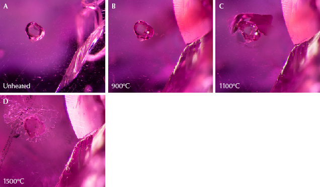 Figure 25. A: Sample 37 shows a rounded apatite crystal next to a fissure, with rutile silk needles at the bottom. B: Part of the sample has broken at the site of the fissure, as seen on the right of the image. Still, the apatite crystal does not show clear signs of alteration. C: A shiny fissure has developed around the crystal, indicating heat damage. D: The crystal has a more frosty texture, and the fissure around it has begun to heal. Photomicrographs by E. Billie Hughes; field of view 1 mm.