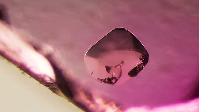 Figure 8. Spinel crystals, such as this one in sample 15, were seen frequently in the Burmese ruby samples. Photomicrograph by E. Billie Hughes; field of view 3 mm.