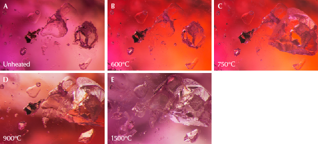 Figure 9. A: In sample 30, the large transparent crystal in the center is spinel, and on the right is a calcite crystal containing liquid CO<sub>2</sub>. B: The background color has changed dramatically because the color of the stained fissure in the background has altered significantly. The ruby’s bodycolor does not appear to have undergone major change. C: The crystal to the right has exploded, leaving a small surface-reaching hole. On the top left, a glassy discoid can be seen around a small crystal. D: The staining in the background has again changed color. E: Much alteration is visible, with partially healed fissures in several spots. Photomicrographs by E. Billie Hughes; field of view 2 mm.