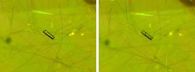 Figure 2. Columnar two-phase negative crystals containing mobile gas bubbles were another unique feature seen in the demantoid garnet. Photomicrographs by Makoto Miura; field of view 1.06 mm.