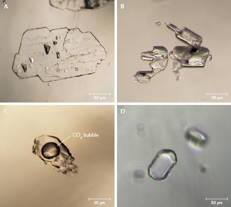 Figure 9. Examples of mineral and fluid inclusions found in Texas topaz: anorthosite (A), albite (B), fluid and melt inclusions (C), and quartz (D). Photomicrographs by Roy Bassoo.