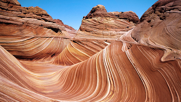 Figure 1. Sedimentary rocks are among the most common rocks exposed on the earth’s surface. This image shows multicolored sandstone layers known as “The Wave” that have been eroded and sculpted by winds to form a swirling pattern of rock strata in the Coyotes Buttes North wilderness area along a portion of the Arizona/Utah border. Photo by Greg Bulla.