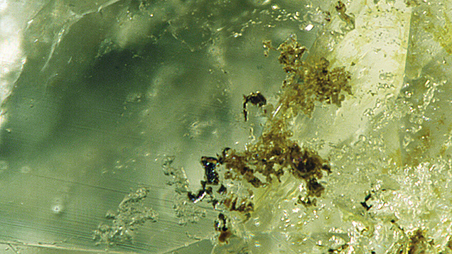 Figure 2. Mineral inclusions in a Mexican demantoid. Photomicrograph by Aaron Palke; field of view 1.26 mm.