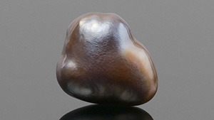 Figure 1. The 1.57 ct brown nacreous pearl measuring 11.06 × 9.15 × 7.20 mm. Photo by Tony Leung.