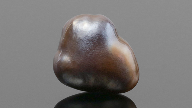 Figure 1. The 1.57 ct brown nacreous pearl measuring 11.06 × 9.15 × 7.20 mm. Photo by Tony Leung.