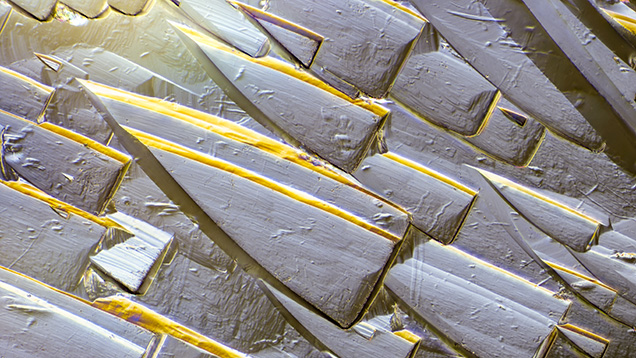 Figure 2. Found on the surface of the heavily etched crystal, these sail-shaped etch features captured with differential interference contrast photomicrography provide definitive proof of the mineral spodumene. Photomicrograph by Nathan Renfro; field of view 1.44 mm.