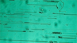 Tubular three-phase inclusions with albite (Ab) at each end in a natural Colombian emerald. These inclusions are oriented parallel to the <em>c</em>-axis of the crystal. Photomicrograph by Javier Toloza; field of view 0.95 mm.