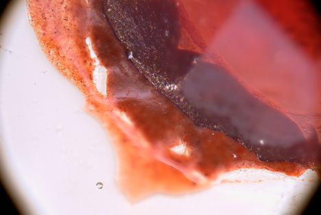 Figure 16. Decorative Bohemian garnet fixed to the colorless glass substrate of the lidded goblet in Munich. The reddish brown fixation layer is found in the gap between the garnet and the glass substrate, but also on the glass substrate outside of the garnet. Photomicrograph by H.-J. Ranz; field of view 4.47 mm.