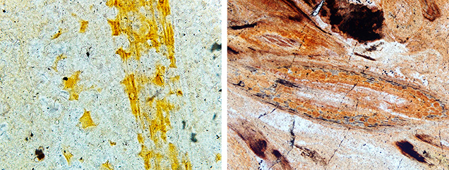 Figure 13. Impurity minerals surrounded by the weathered shell of S5 and S6, respectively. Left: These yellow color iron compounds were not positively identified by Raman spectroscopy. Right: Hematite was identified using Raman analysis. Photomicrographs by Han-Yue Xu; fields of view 0.10 mm (left) and 0.48 mm (right).