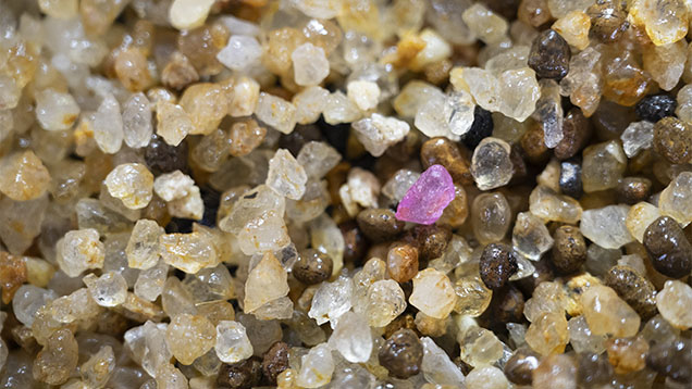 Figure 3. Secondary deposits can concentrate gems with very different geological formation conditions, such as quartz and corundum (pink sapphire), which cannot coexist at equilibrium in the earth’s crust. Photo by Wim Vertriest.