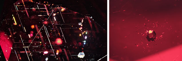 Figure 2. Left: Rutile needles and platelets are commonly observed in red garnet from northern Vietnam. Right: A well-formed, opaque metal sulfide crystal stands out due to its metallic luster. Photomicrographs by Suwasan Wongchacree; fields of view 4.80 mm (left) and 1.80 mm (right).