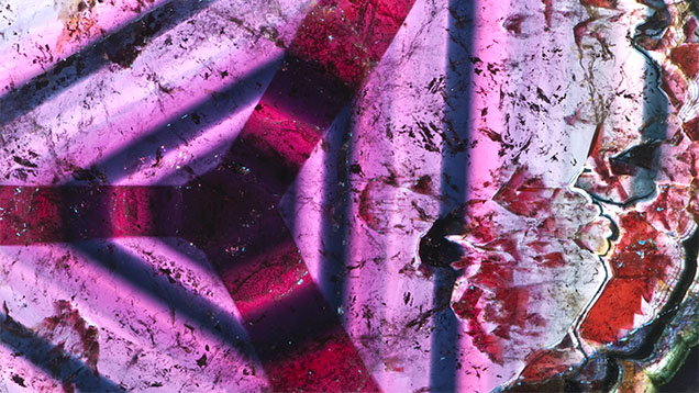 Figure 9. In a microcosm of mineral evolution, the color zoning in this liddicoatite tourmaline slice from Madagascar reflects changes in chemistry during growth. Photo by Robert Weldon.