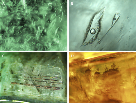Figure 11. Inclusions in Zhen’an emeralds. A: Fluid inclusion group (ESC-09). B: Irregular isolated two-phase fluid inclusion with an eye-like morphology (ESC-04). C: Colorless transparent tubular inclusions and brown tubular inclusions filled with hematite and magnetite (ESC-05). D: Brown dendritic inclusions filling fissures (ESC-10), which are tentatively identified as dendritic pyrolusite. Photomicrographs by Yi Guo (A and B) and Xiao-Yan Yu (C and D); fields of view: 2.02 mm (A), 0.38 mm (B), 5.0 mm (C), 2.9 mm (D).