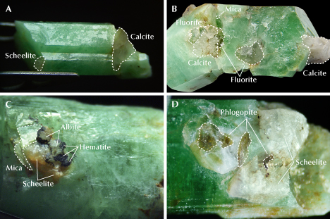 Figure 8. Emerald crystals from Zhen’an with associated minerals. A: ESC-14 and its associated transparent minerals scheelite and calcite. B: ESC-19 with calcite, mica, and fluorite. C: ESC-20 with mica, albite, scheelite, and hematite. D: ESC-18 with scheelite and phlogopite. All associated minerals were identified by Raman analysis. Photomicrographs by Yi Guo; fields of view 20.36 mm (A), 21.45 mm (B), 14.29 mm (C), and 7.78 mm (D).