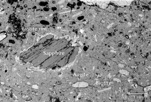 Figure 22. Backscattered electron (BSE) image of a thick section glass slide containing a French Bar sill rock showing a sapphire xenocryst surrounded by a layer of biotite (phlogopite), set in a fine-grained groundmass with sparse phenocrysts of biotite (phlogopite) and possibly augite (SS10A). Image by Henry Towbin.