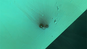 Figure 2. Top view of an altered etch tube in tourmaline resembling the face of a bird with a fuzzy tuft. Photomicrograph by Jamie Price; field of view 1.48 mm.