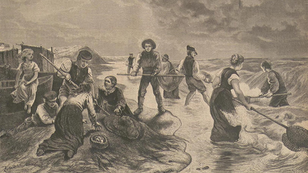 バルト海沿岸でのアンバーの収集