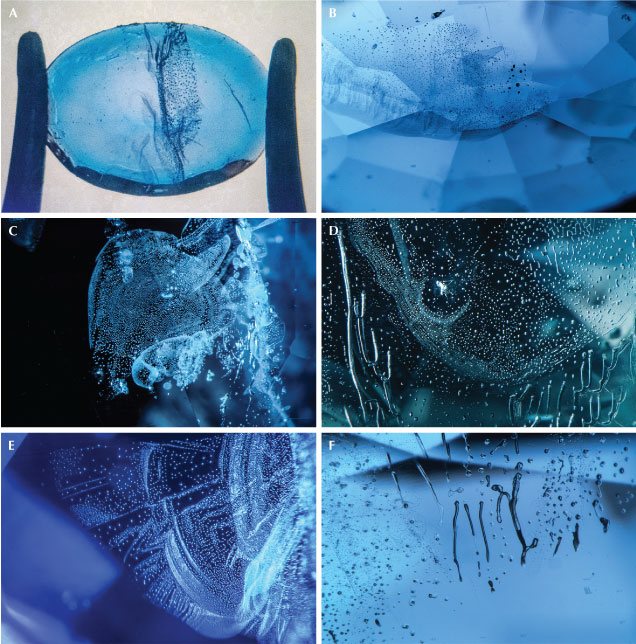 Figure 2. Nickel-diffused spinel shows subtle color concentration along facet junctions (A and B) and features suggesting flux-assisted healing of the fractures during the heating process (C–F). Photos by Aaron Palke; fields of view 10.24 mm (A), 2.90 mm (B), 2.34 mm (C and D), 1.76 mm (E), and 1.99 mm (F).