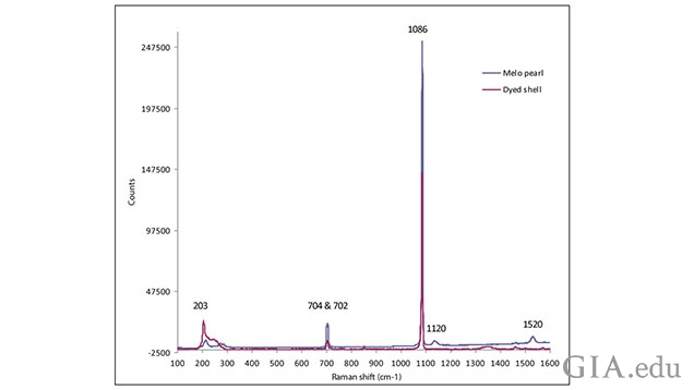 Figure: 5 - Spectra of the dyed shell with the missing polyenic peaks at ~1120 cm<sup>-1</sup> & 1520 cm<sup>-1</sup>, compared to that of a naturally colored Melo species pearl. 