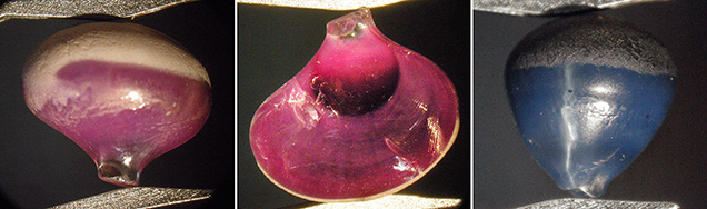 Outer surface of synthetic star ruby, sapphire by Wiede’s