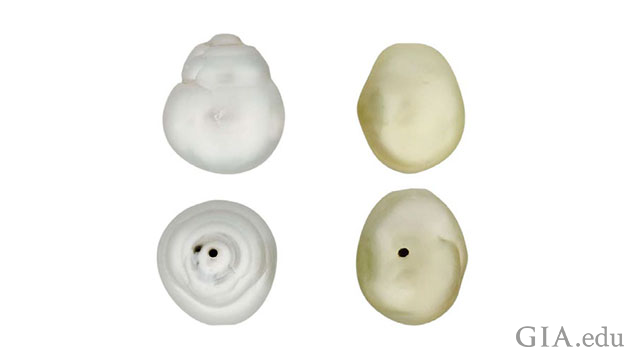 図1：通常の鑑別のために提出された2つの真珠の外観（側面およびドリル穿孔による穴）。