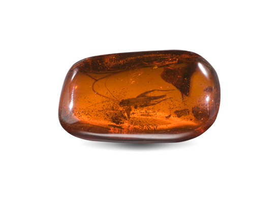 Amber Gemstone  Amber Stone - GIA