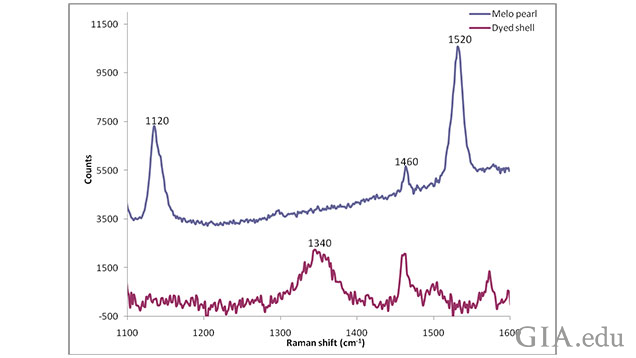图 6：1100 cm<sup>-1</sup> 至 1600 cm<sup>-1</sup> 之间的放大图显示了图 5 所示两件样品的聚烯峰区。天然颜色的美乐珠的聚烯峰区在最高频光谱中清晰可见，但在本文所述“珍珠”仿品的较低频光谱中完全不存在。