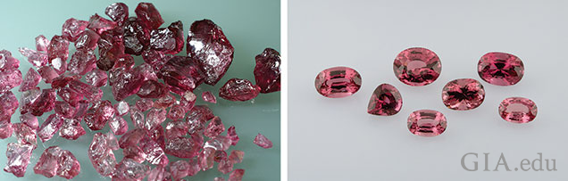Figure 9. The parcel of rough spinel on the left, reportedly from Tajikistan, contains pieces weighing up to 48.5 g. The seven faceted spinels on the right (9.04–28.16 ct) were fashioned from some of this rough.