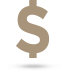 Dollar Icon