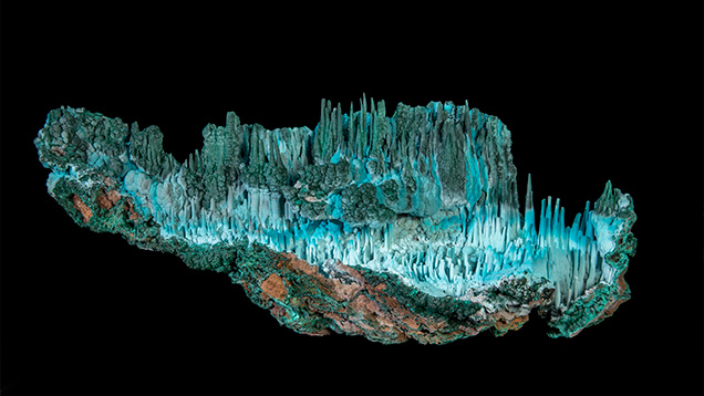 Atlantis（アトランティス）の展示